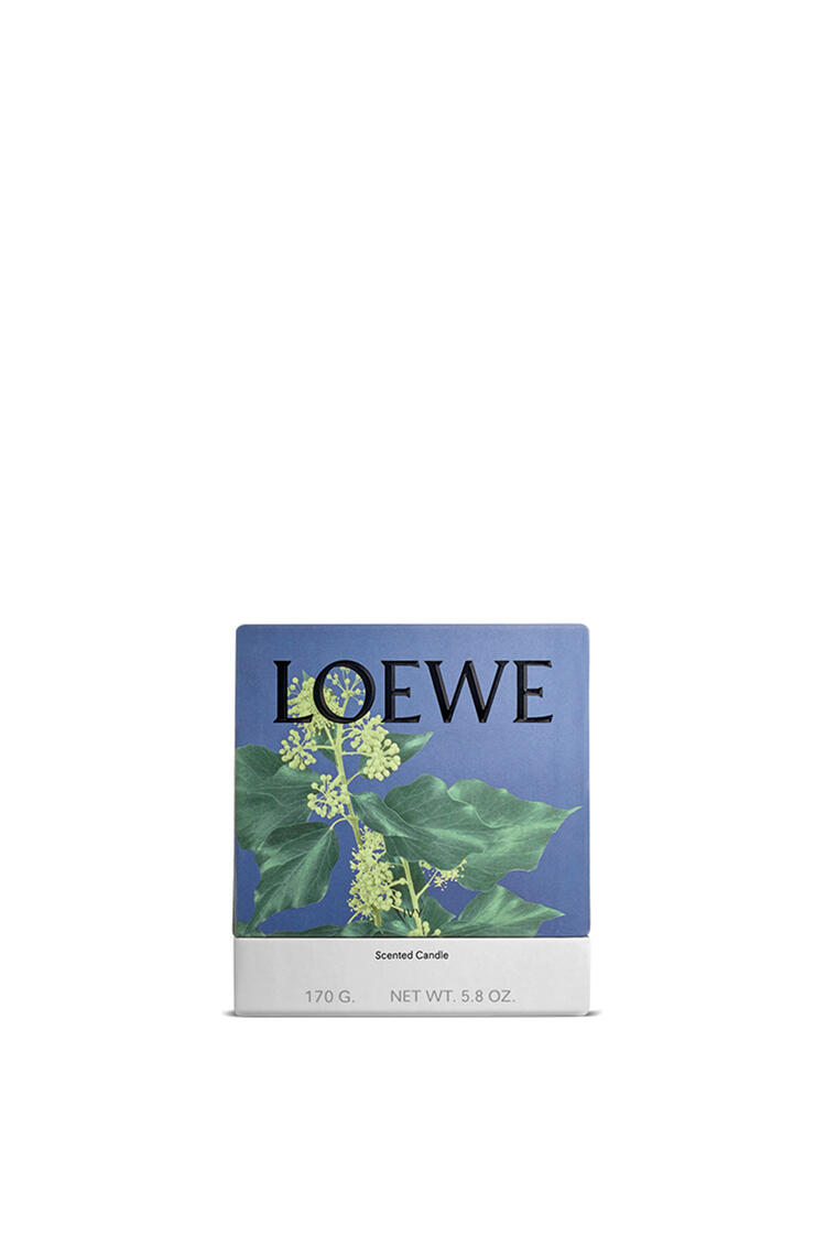 LOEWE Ivy candle Light Pink pdp_rd
