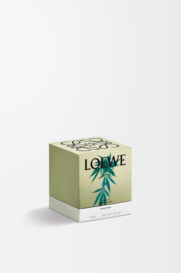 LOEWE Small Scent of Marihuana candle Dark Green