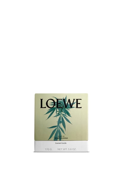 LOEWE Vela Scent of Marihuana Verde Oscuro plp_rd