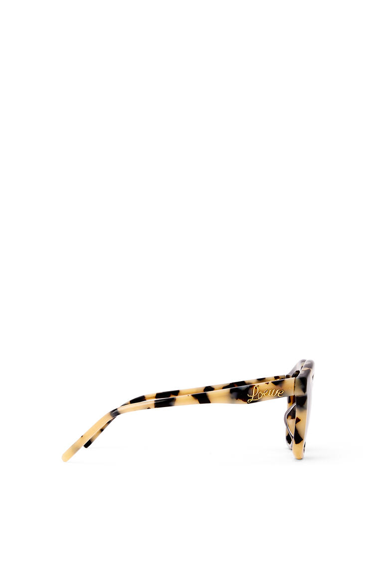 LOEWE Browline sunglasses in acetate Black/White Havana