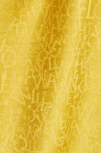 LOEWE Scarf in silk and wool 赭色 plp_rd