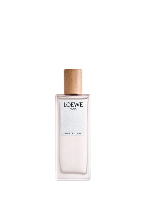 未開封 正規品 ロエベ アグア デ ロエベ メディテラネオ 土臭く 50ml 香水