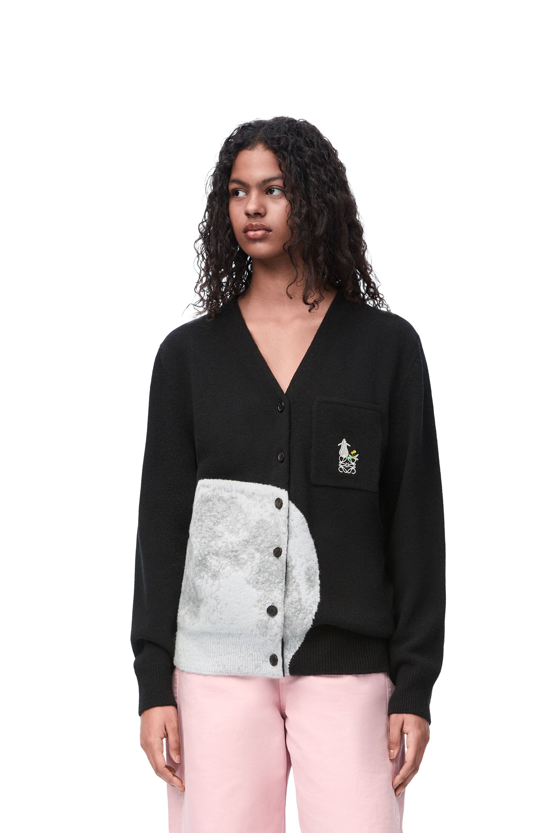 Loewe cardigan 2025
