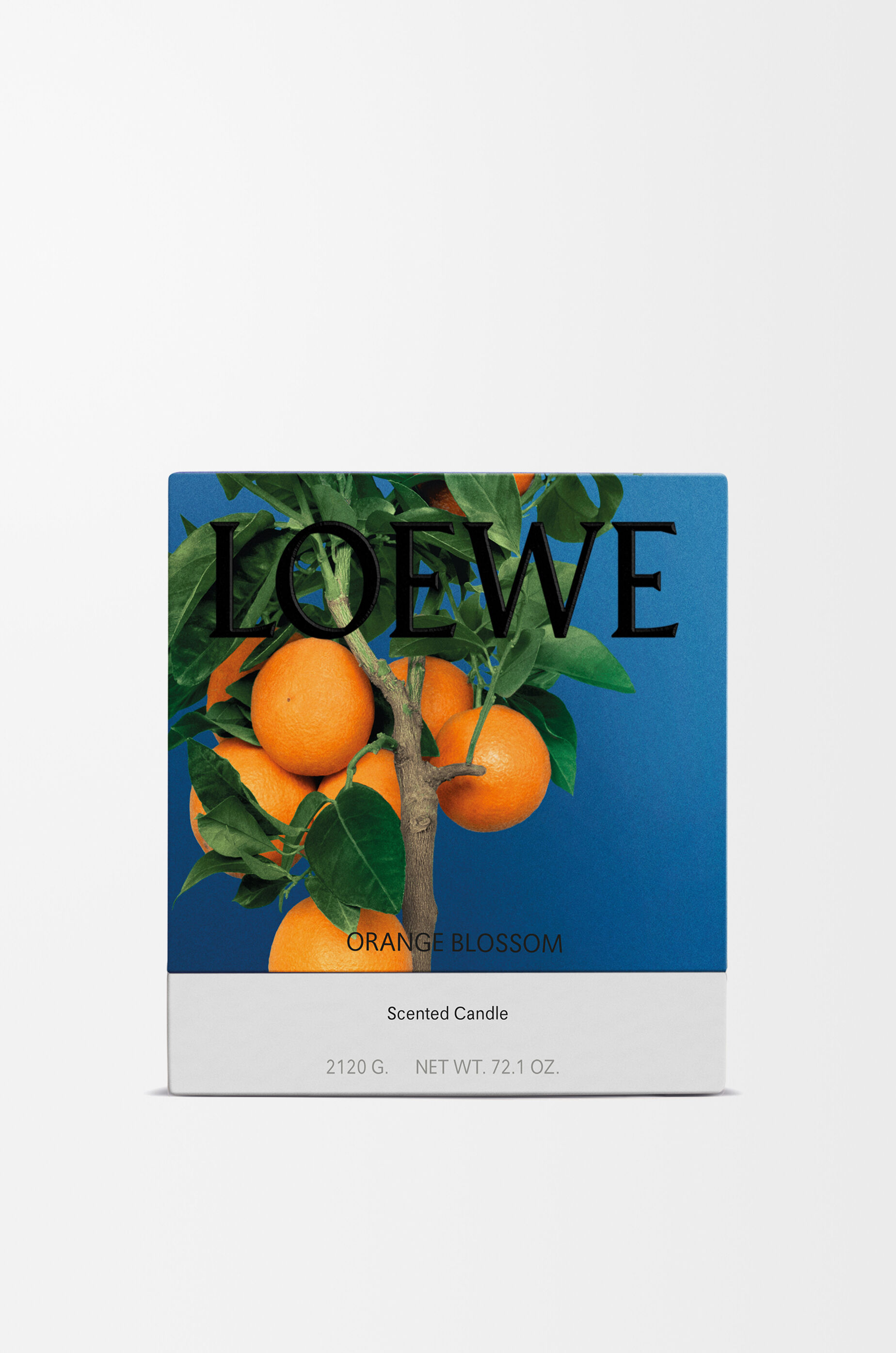 日本人気超絶の ラージ キャンドル オレンジブロッサム オレンジ LOEWE - キャンドル