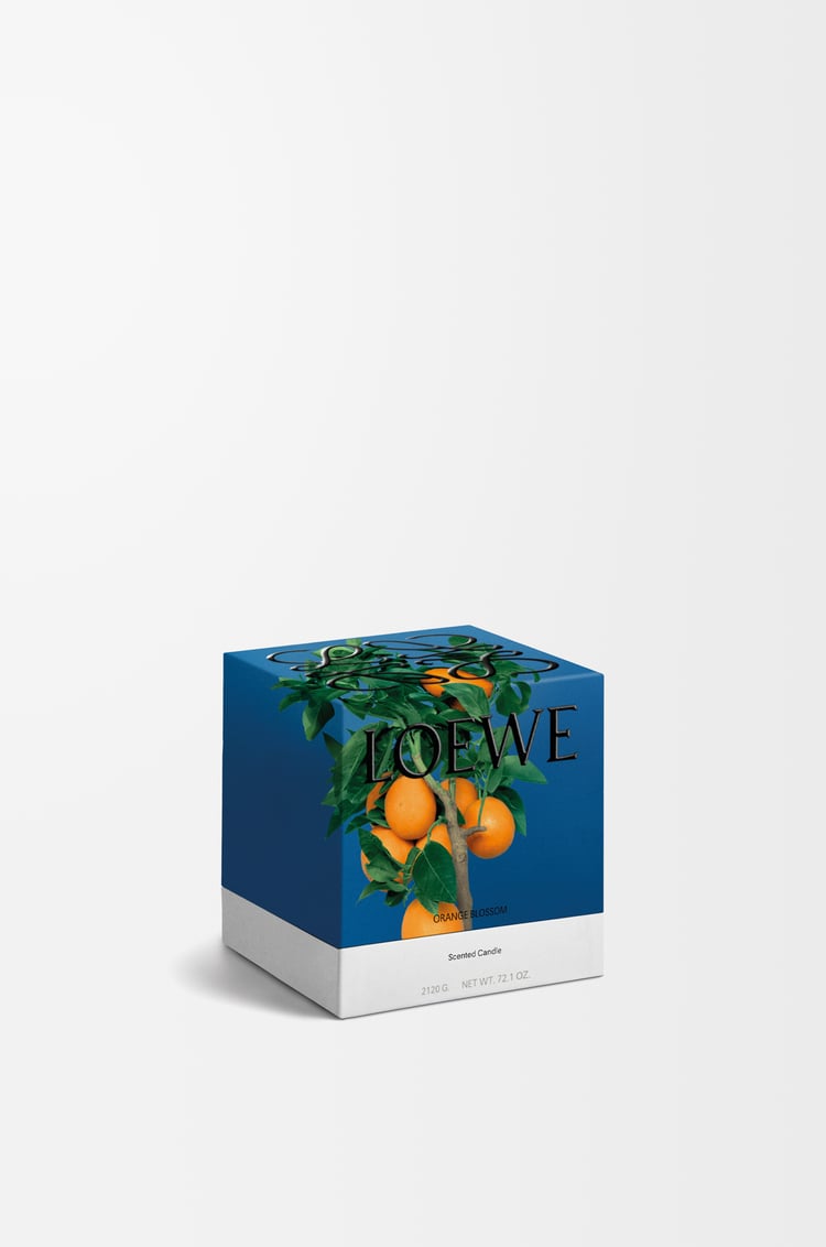 LOEWE Small Orange Blossom candle Bright Mandarin