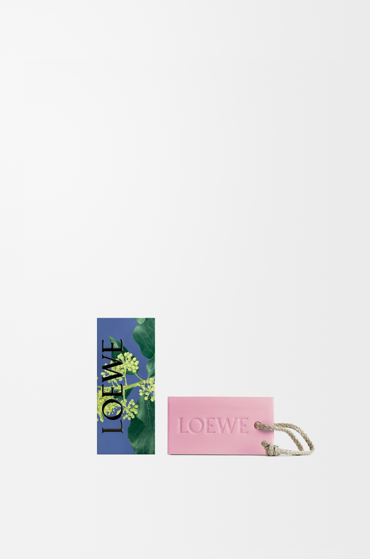 LOEWE Saponetta grande Ivy Rosa Chiaro