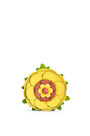 LOEWE Flor en piel de ternera clásica con tachuelas Amarillo pdp_rd