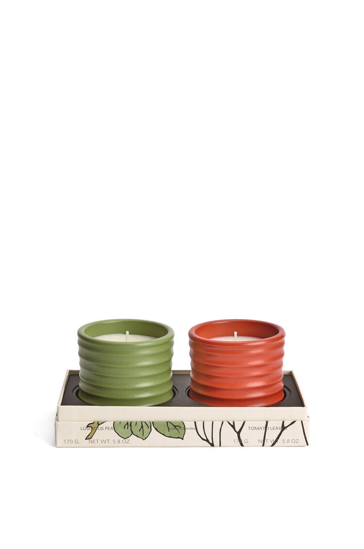 LOEWE Tomato Leaf and Luscious Pea candle set Green/Red pdp_rd