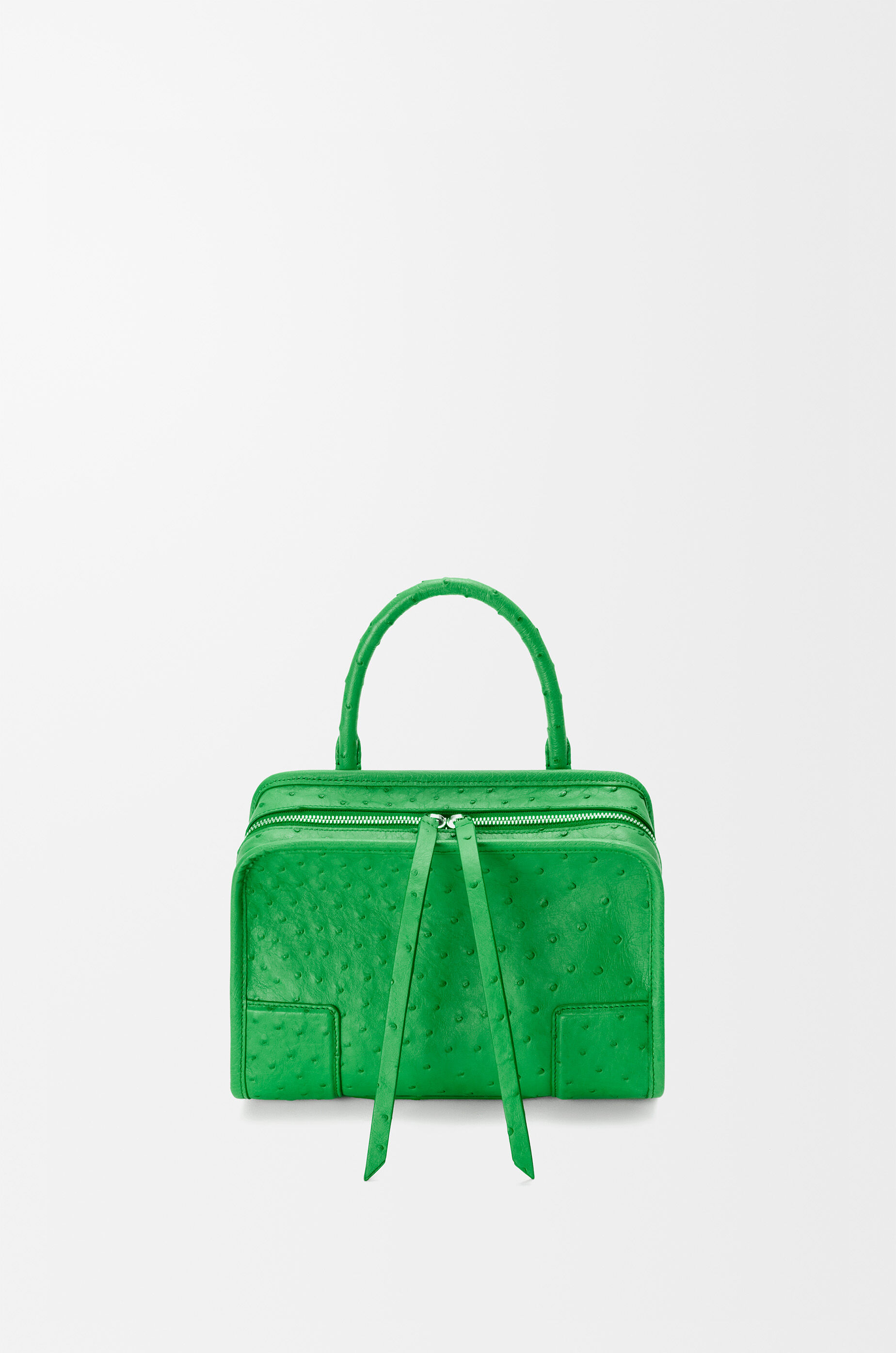 Small Amazona 180 bag in ostrich Green - LOEWE USA Official Website
