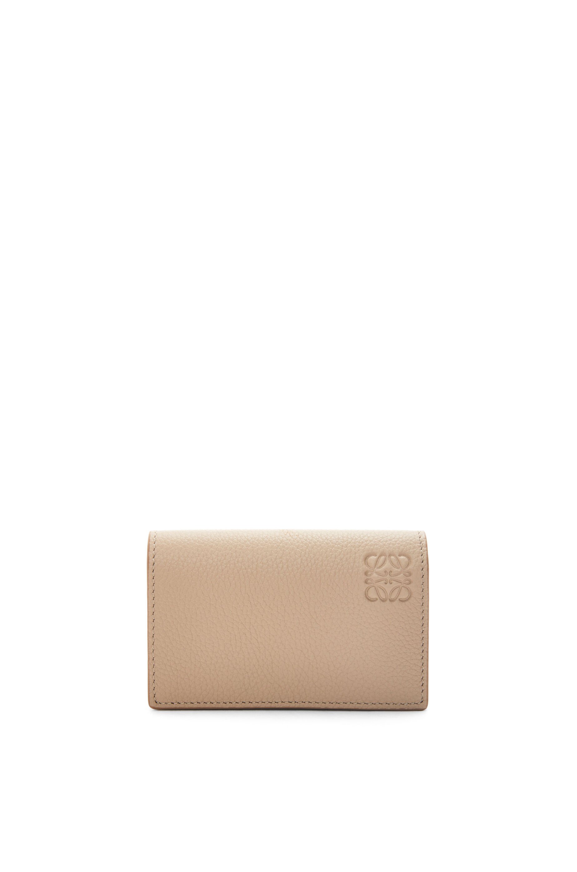 Loewe deals rainbow wallet