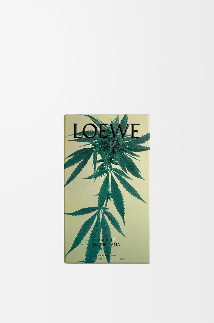 LOEWE Scent of Marihuana room spray Dark Green