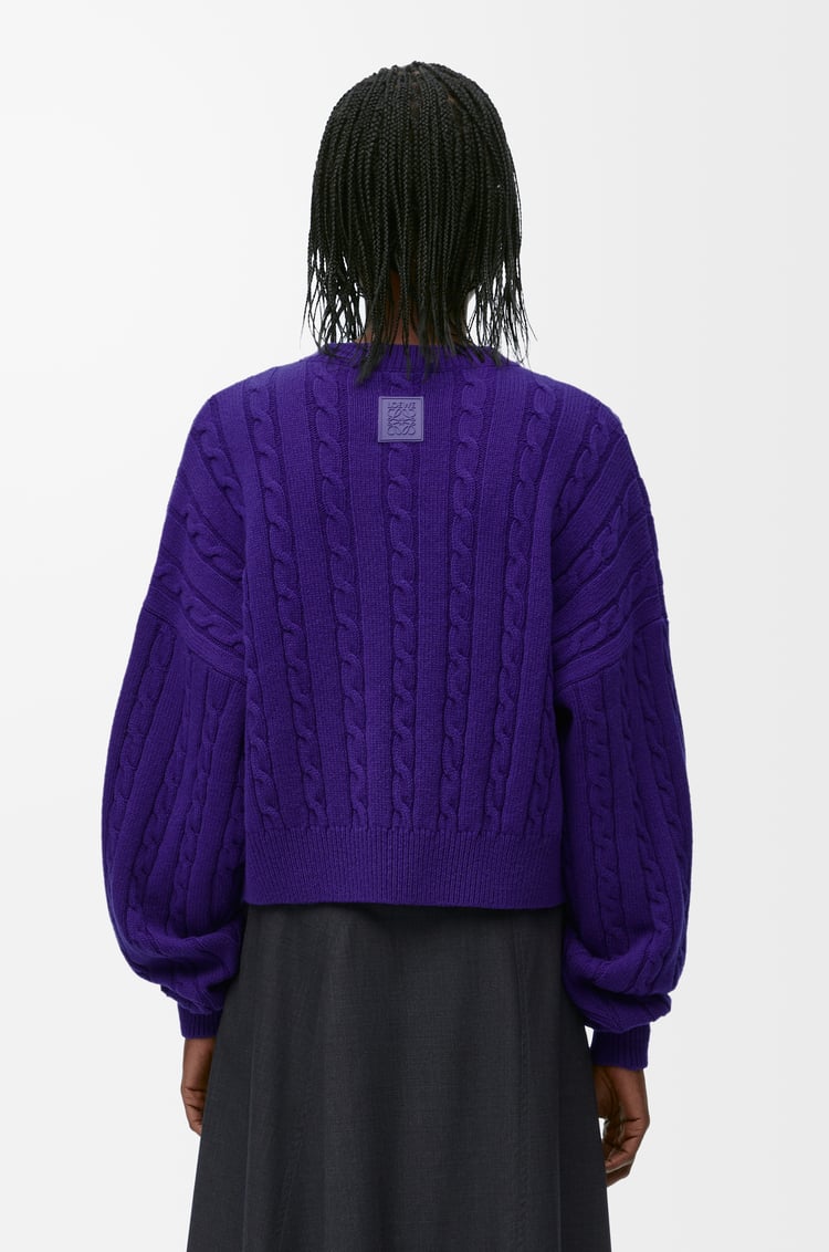LOEWE Sweater in wool Purple
