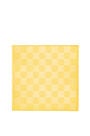 LOEWE Damero scarf in wool, silk and cashmere Yellow Corn