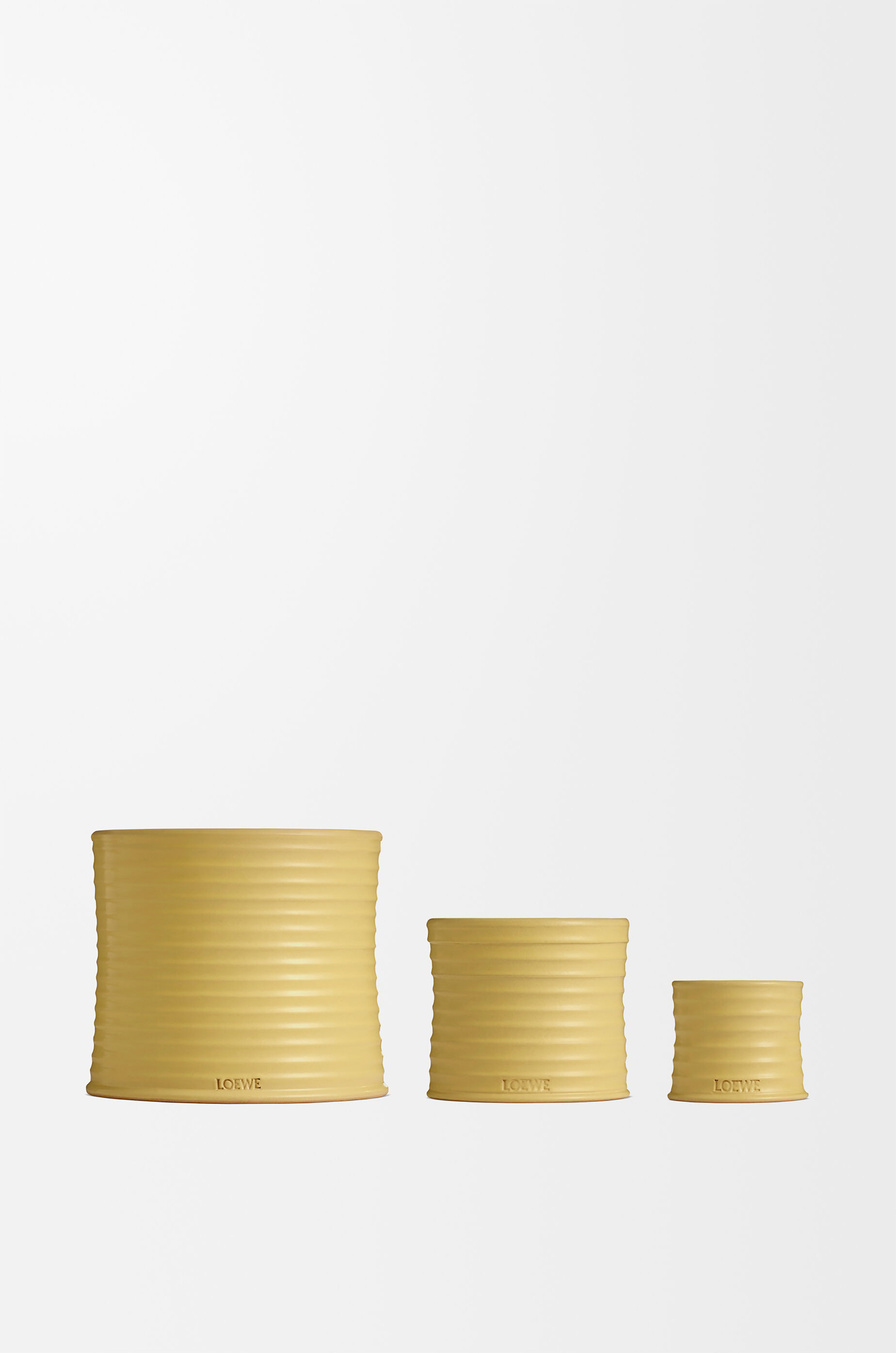 ハニーサックル キャンドル ラージ イエロー - LOEWE
