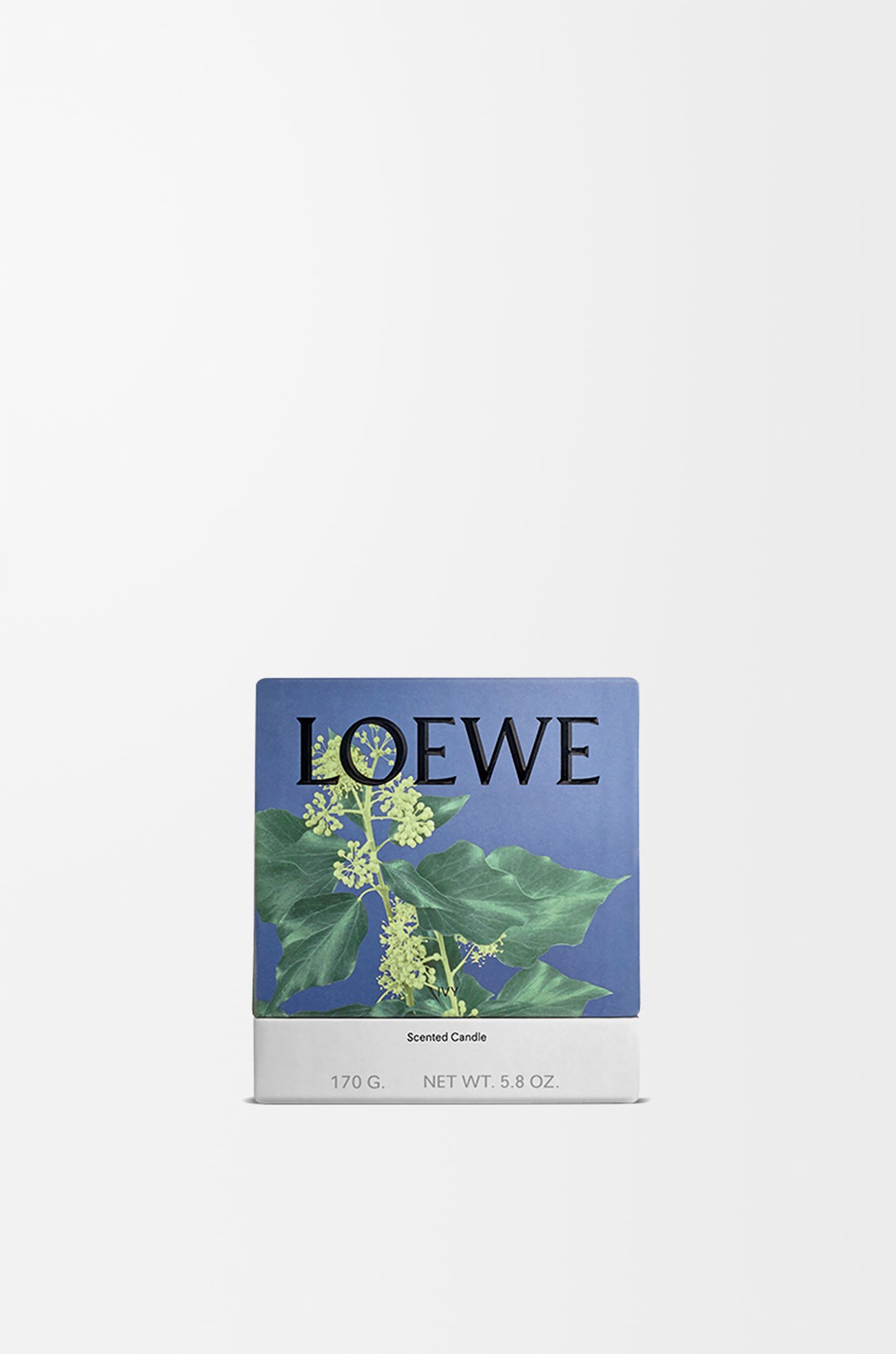 LOEWE Small Ivy candle Light Pink