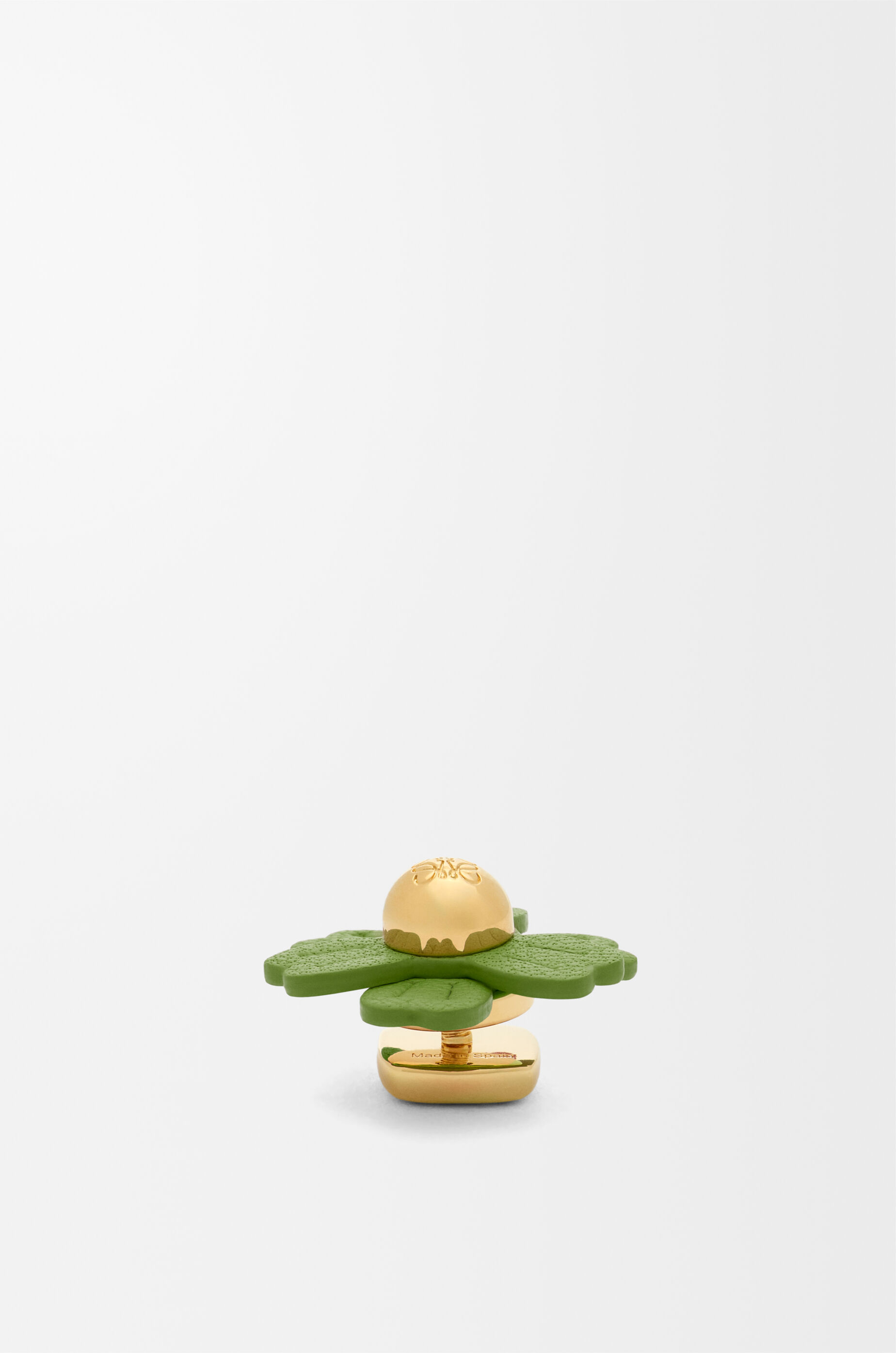 半額以下で買えるクーポン特集 Flower LOEWE - Green calfskin in pin アクセサリー