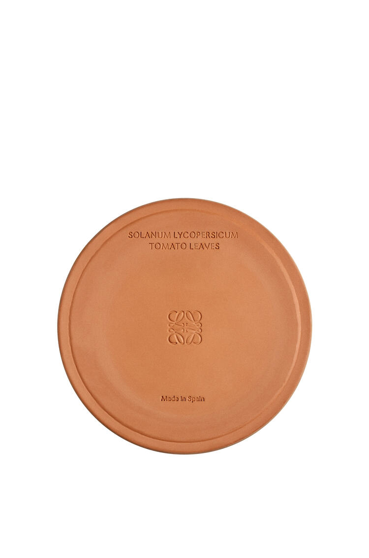 LOEWE Large Tomato Leaves candle Red pdp_rd