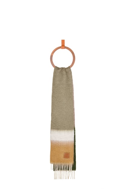LOEWE ストライプ スカーフ（モヘア&ウール） アボカドグリーン/マルチカラー plp_rd
