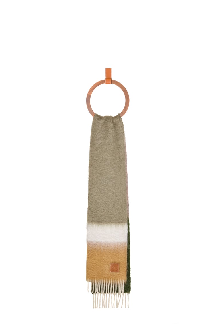 LOEWE ストライプ スカーフ（モヘア&ウール） アボカドグリーン/マルチカラー