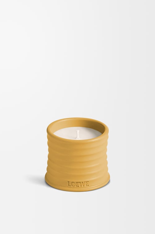 LOEWE Small Wasabi candle Yellow