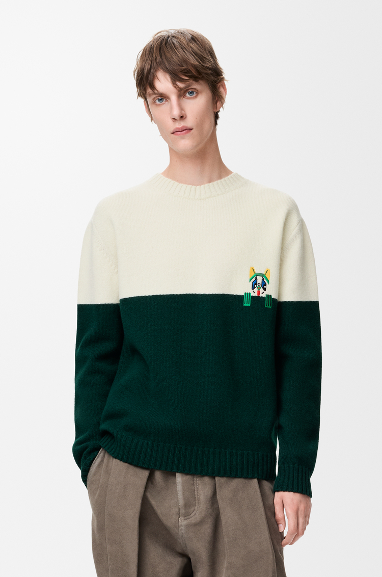 LOEWE セーター（ウール） ホワイト/グリーン