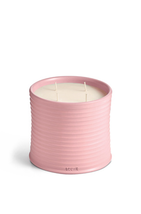 LOEWE Large Ivy candle Light Pink plp_rd