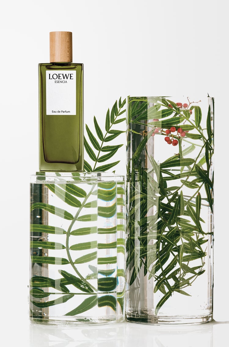 LOEWE LOEWE Esencia Eau de Parfum 50ml Colourless