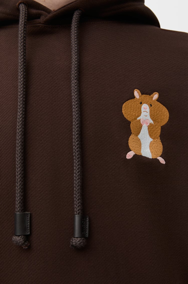 LOEWE Sudadera con capucha de corte holgado en algodón Marrón Oscuro