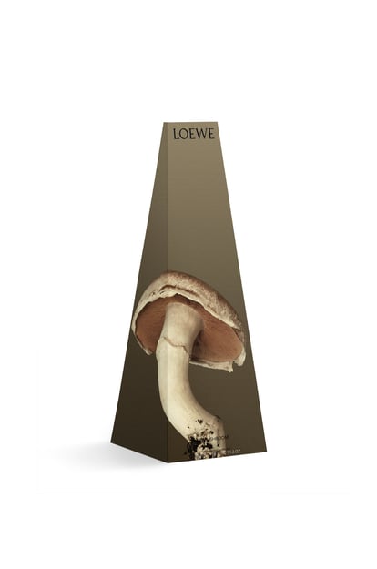 LOEWE Mushroom wax candleholder Light Grey plp_rd