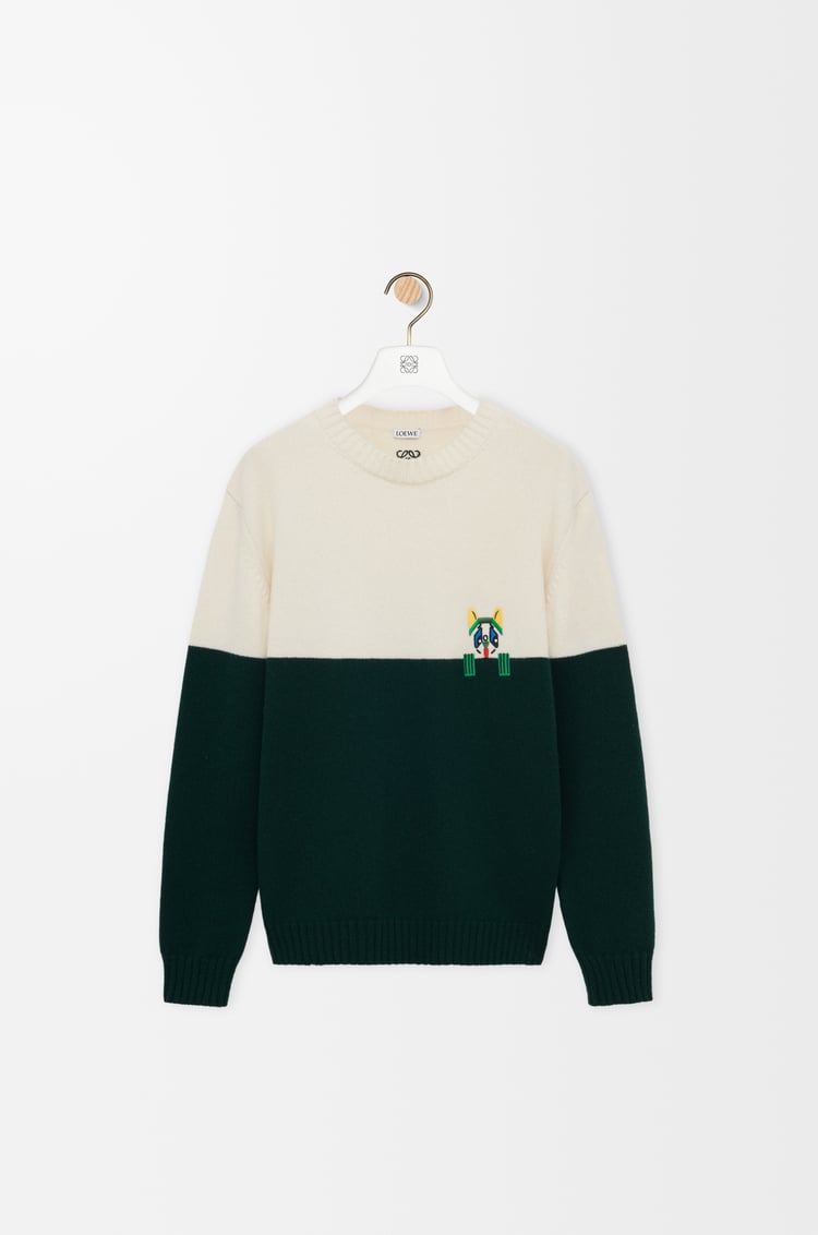 LOEWE セーター（ウール） ホワイト/グリーン