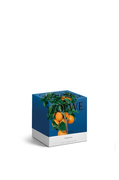 LOEWE Vela pequeña Orange Blossom Mandarina plp_rd
