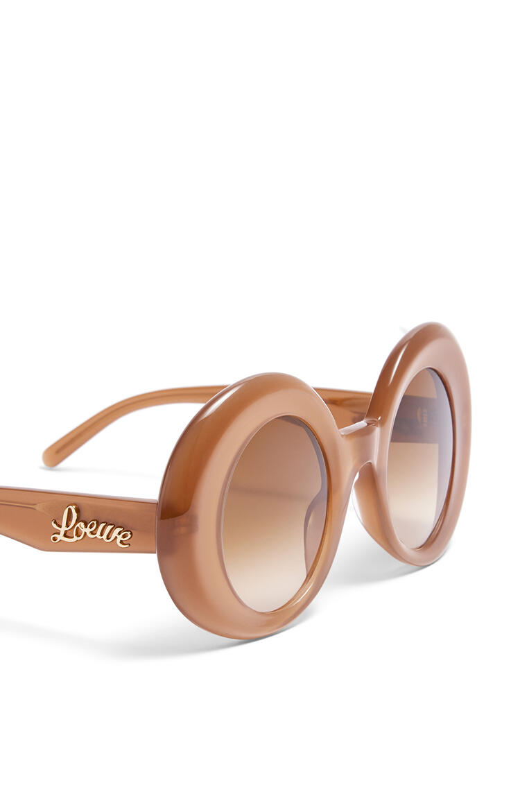 LOEWE Oversized round sunglasses in acetate Light Brown