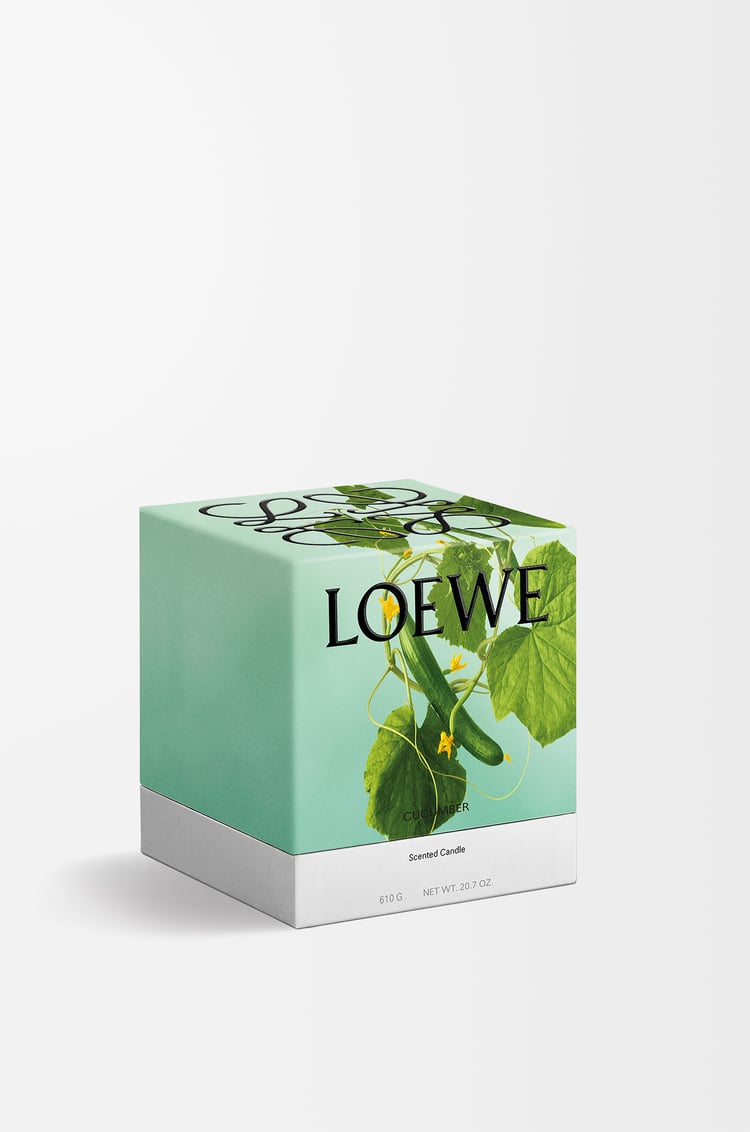 LOEWE キューカンバー キャンドル ミディアム ライトグリーン