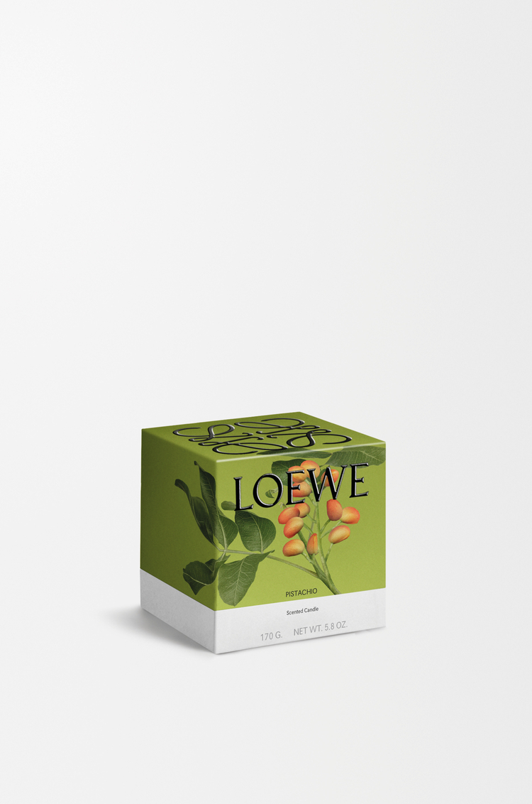 LOEWE ピスタチオ キャンドル スモール ピスタチオ