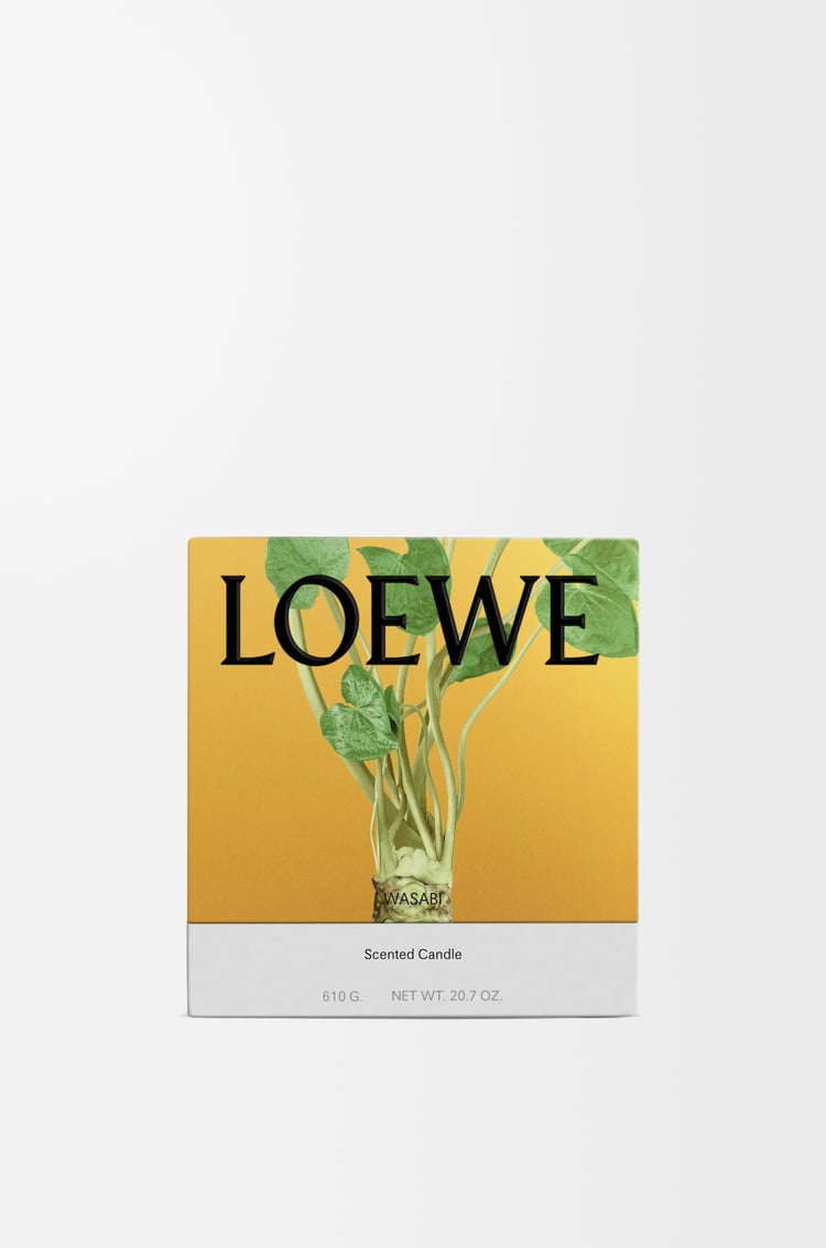 LOEWE ワサビ キャンドル ミディアム イエロー