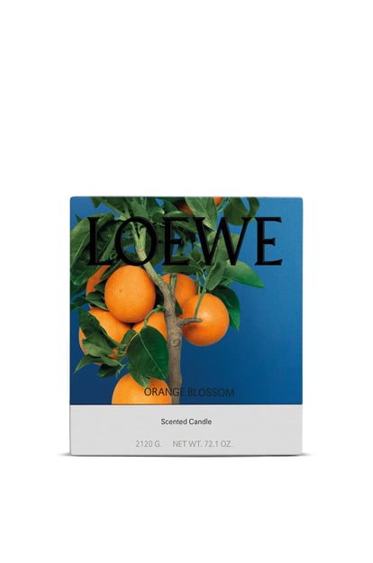 LOEWE Large Orange Blossom Candle 亮柑橘色 plp_rd