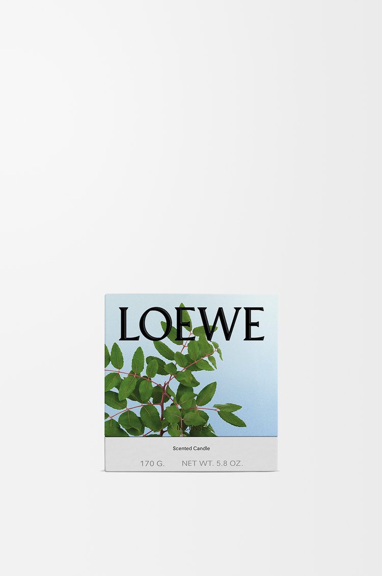 LOEWE Small Incense candle Dark Blue
