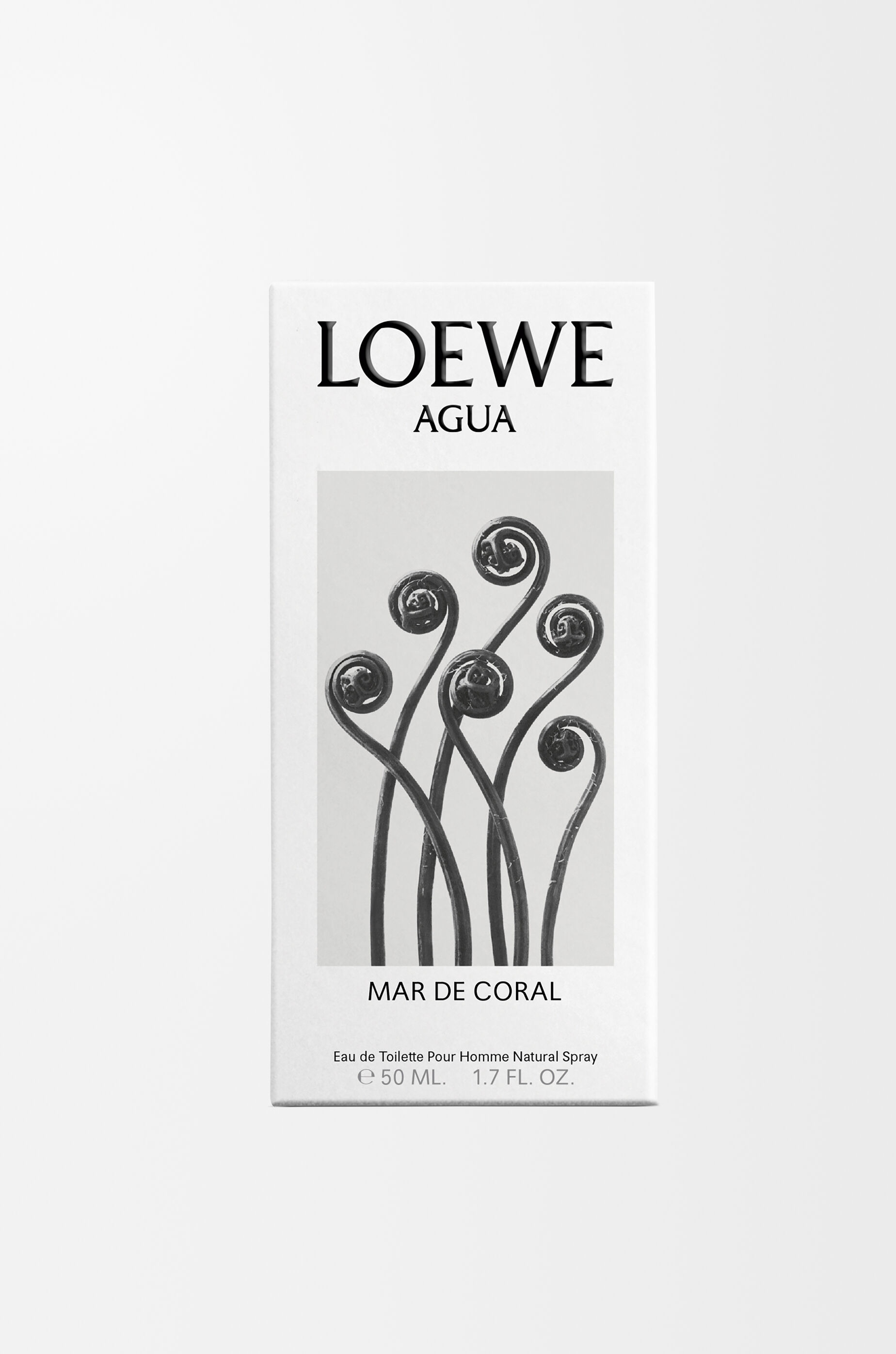 ロエベ アグア マル デ コーラル オードゥ トワレ 50ml 無色 - LOEWE