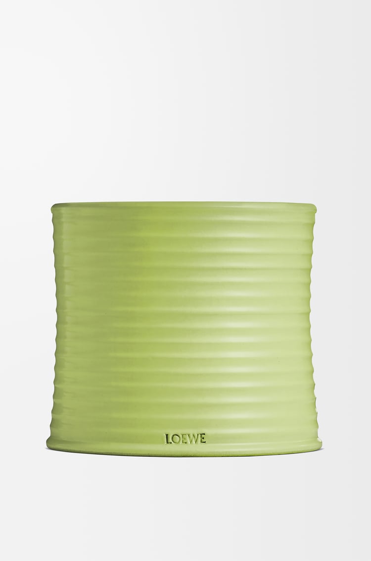 LOEWE Large cucumber candle Light Green