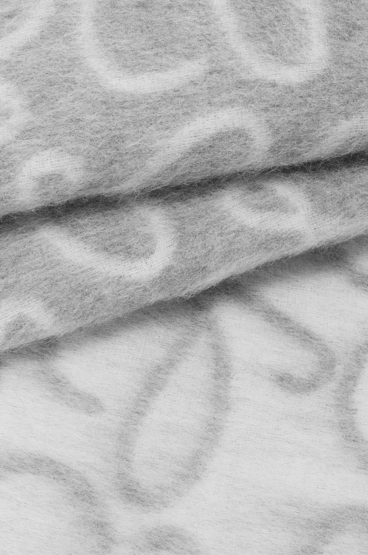 LOEWE Écharpe en alpaga et laine Gris Clair/Blanc