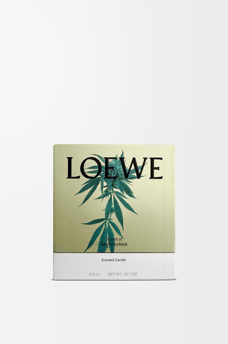 LOEWE Medium Scent of Marihuana candle Dark Green
