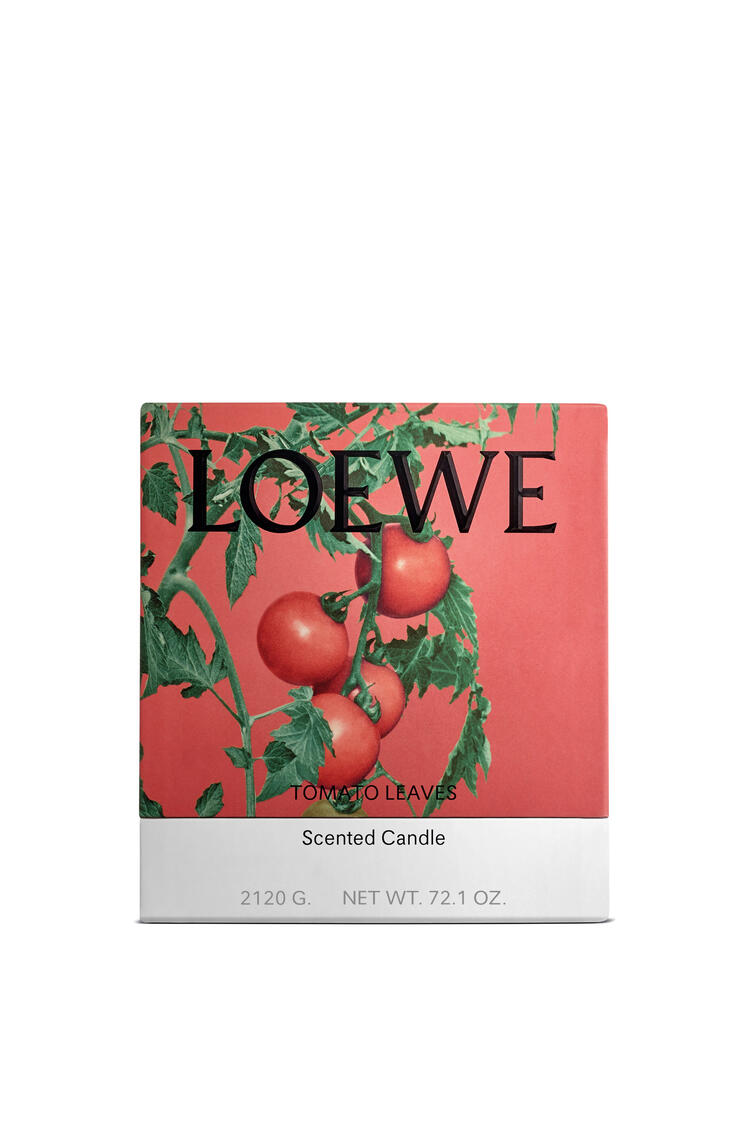 LOEWE Large Tomato Leaves candle Red