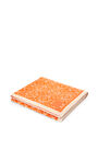 LOEWE Anagram towel in cotton Orange