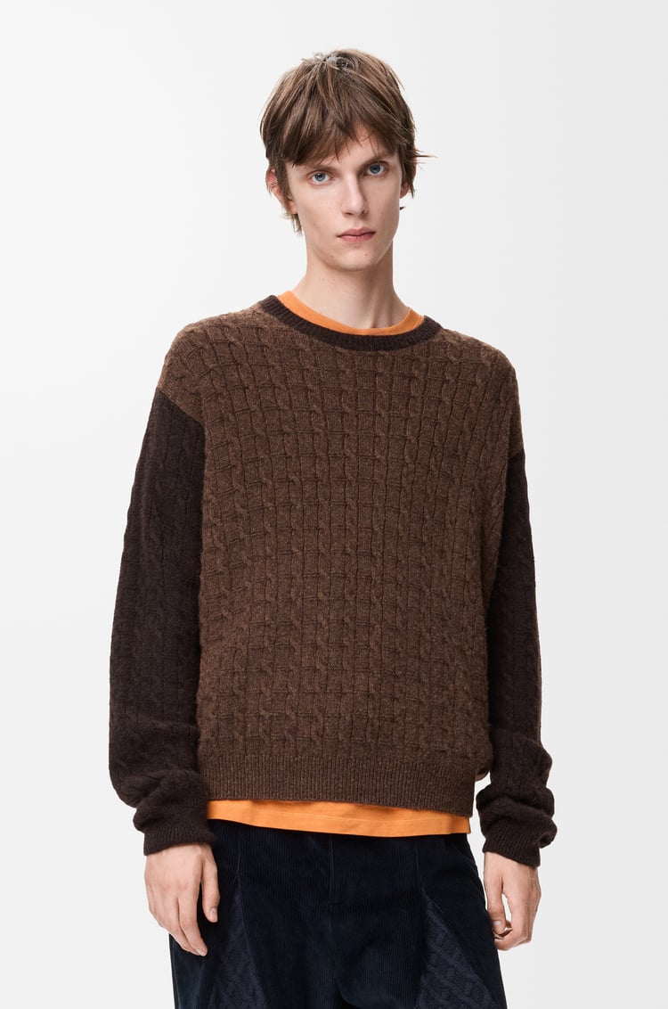 LOEWE Sweater in cashmere Brown/Dark Brown