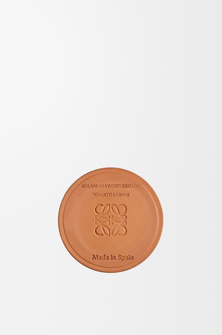 LOEWE Vela pequeña Tomato Leaves Rojo