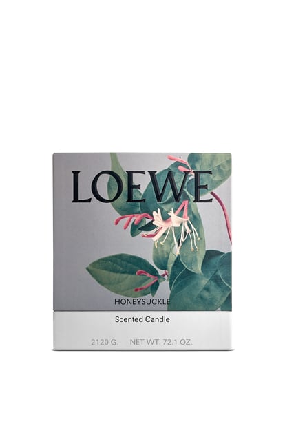 LOEWE Large Honeysuckle candle 黃色 plp_rd