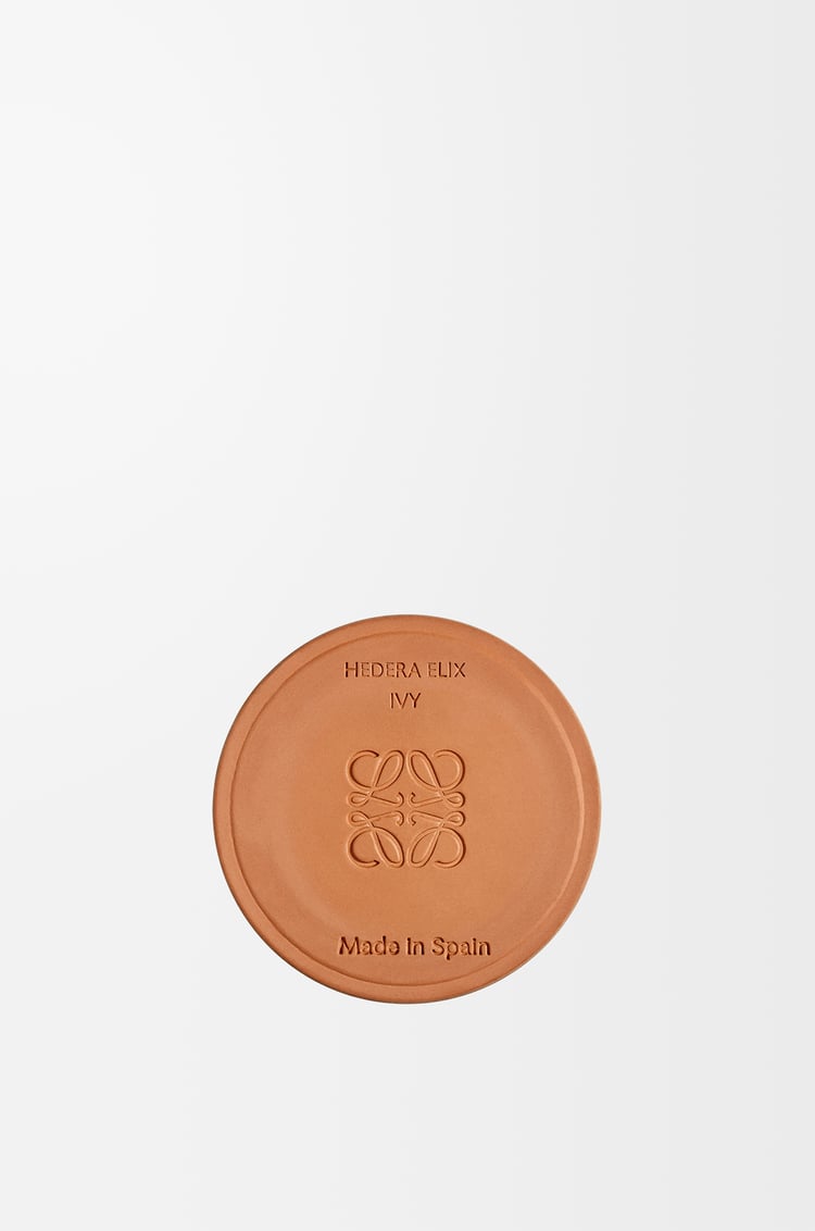 LOEWE アイビー キャンドル スモール ライトピンク