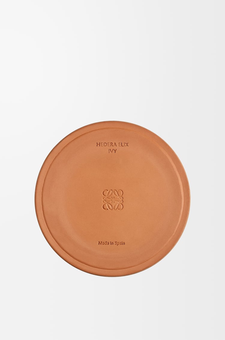 LOEWE Large Ivy candle Light Pink