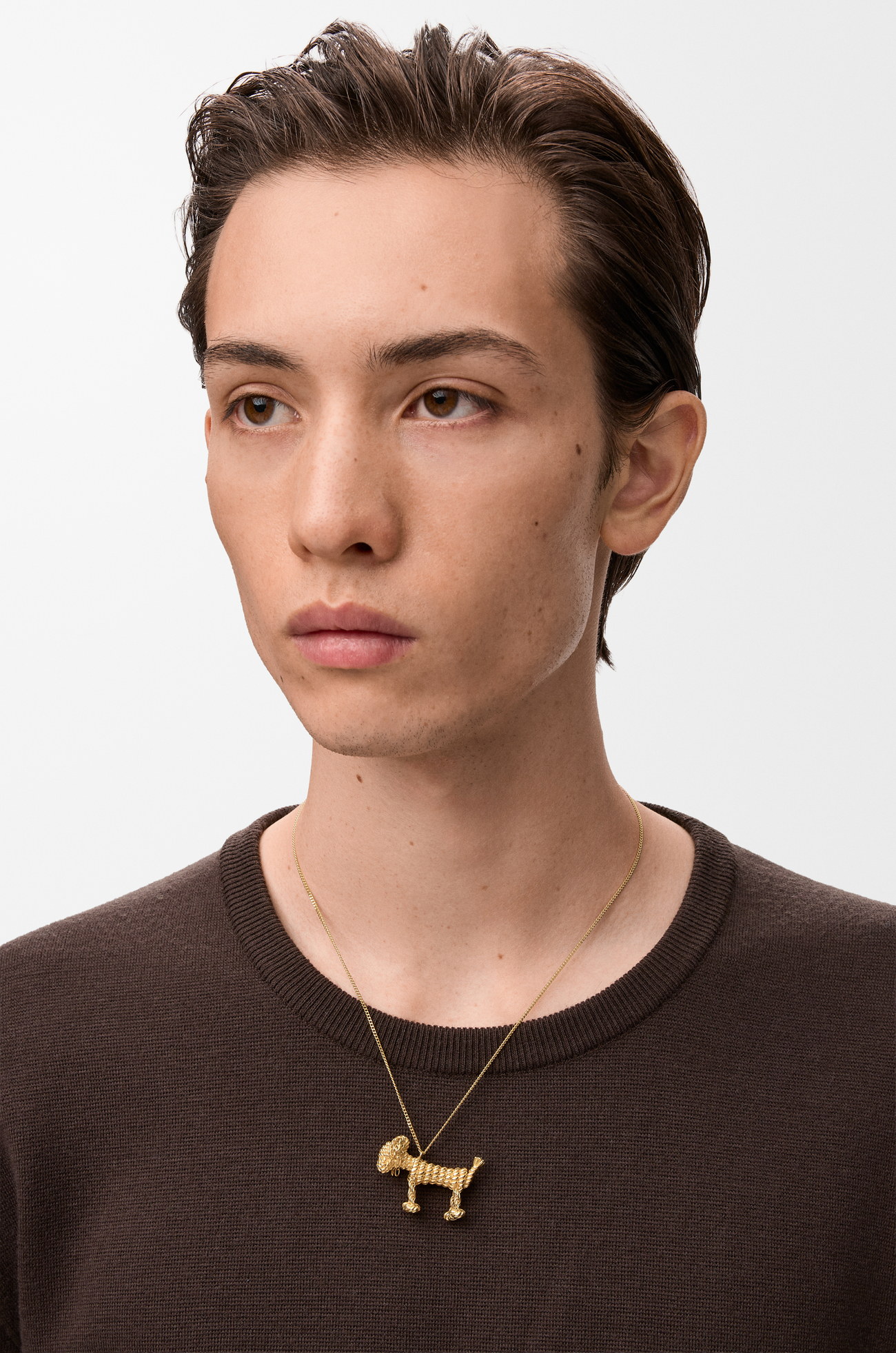 LOEWE Collar Sausage Dog Dorado