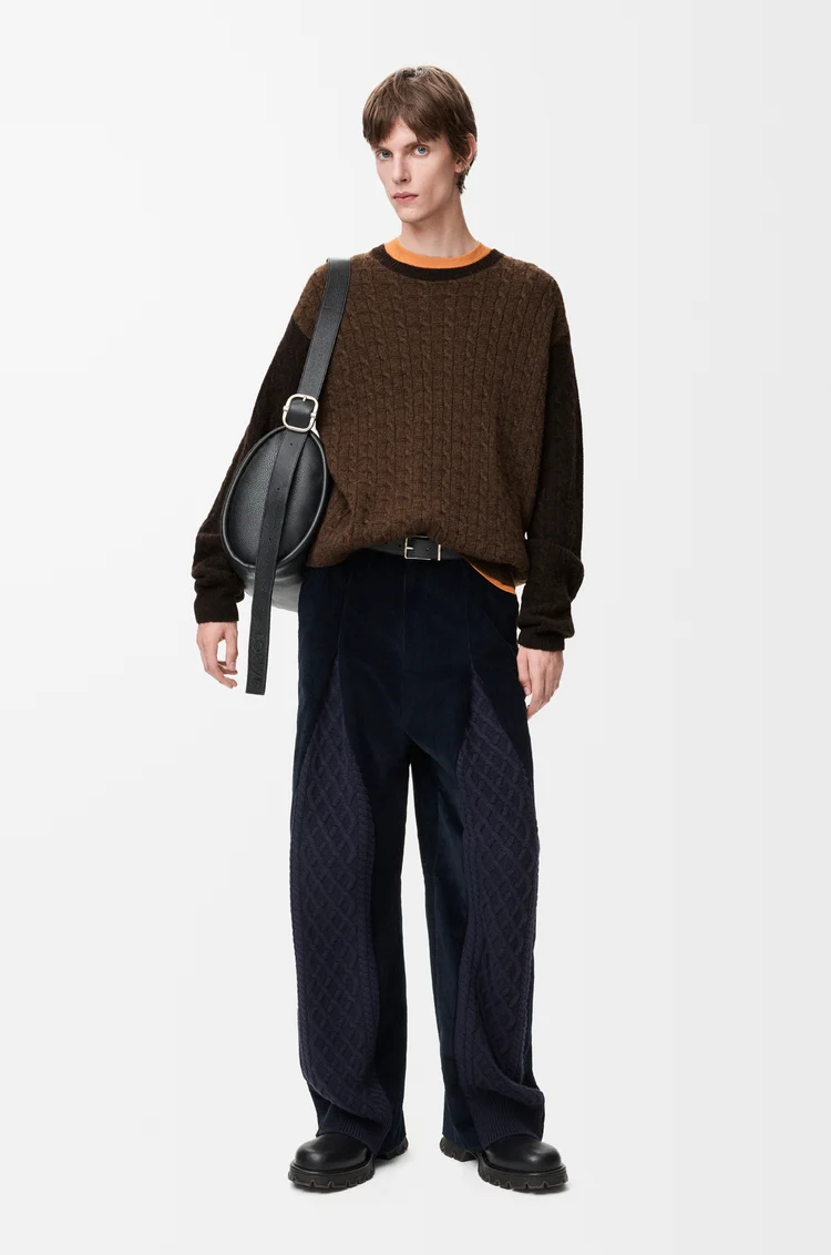 LOEWE Sweater in cashmere Brown/Dark Brown